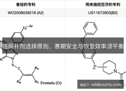 法网补剂选择原则，赛期安全与恢复效率须平衡